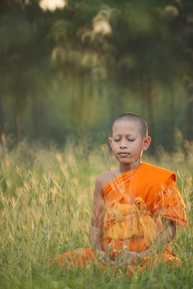 Feldenkrais Method